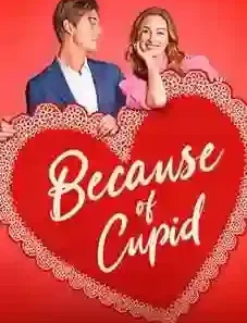 Because of Cupid 2026