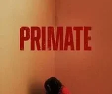 Primate 2026