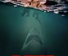 Deep Water 2026