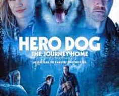 Hero Dog The Journey Home Moviesjoy