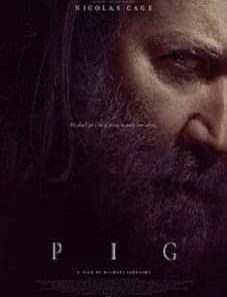 Pig 2021